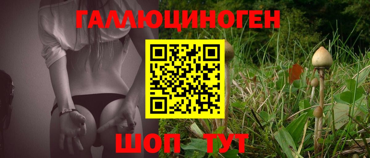 Псилоцибиновые грибы Cubensis  Галлюциногенные грибы MAGIC MUSHROOMS  Екатеринбург  Вход с VPN 